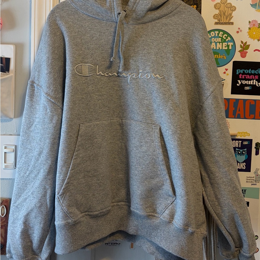 Champion Gray Women’s Hoodie
